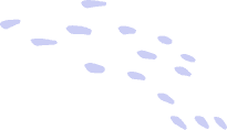 Shape Top Left