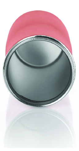 Termos Çağdaş Yaşam İçin Somon